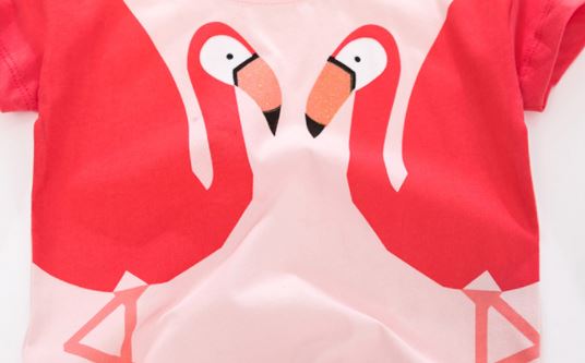 Ready Stock : Flamingo Short Sleeve T-Shirt