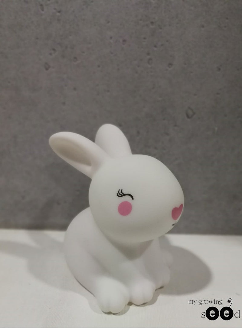 READY STOCK : ADORABLE NURSERY LED LIGHTING (5 Options)