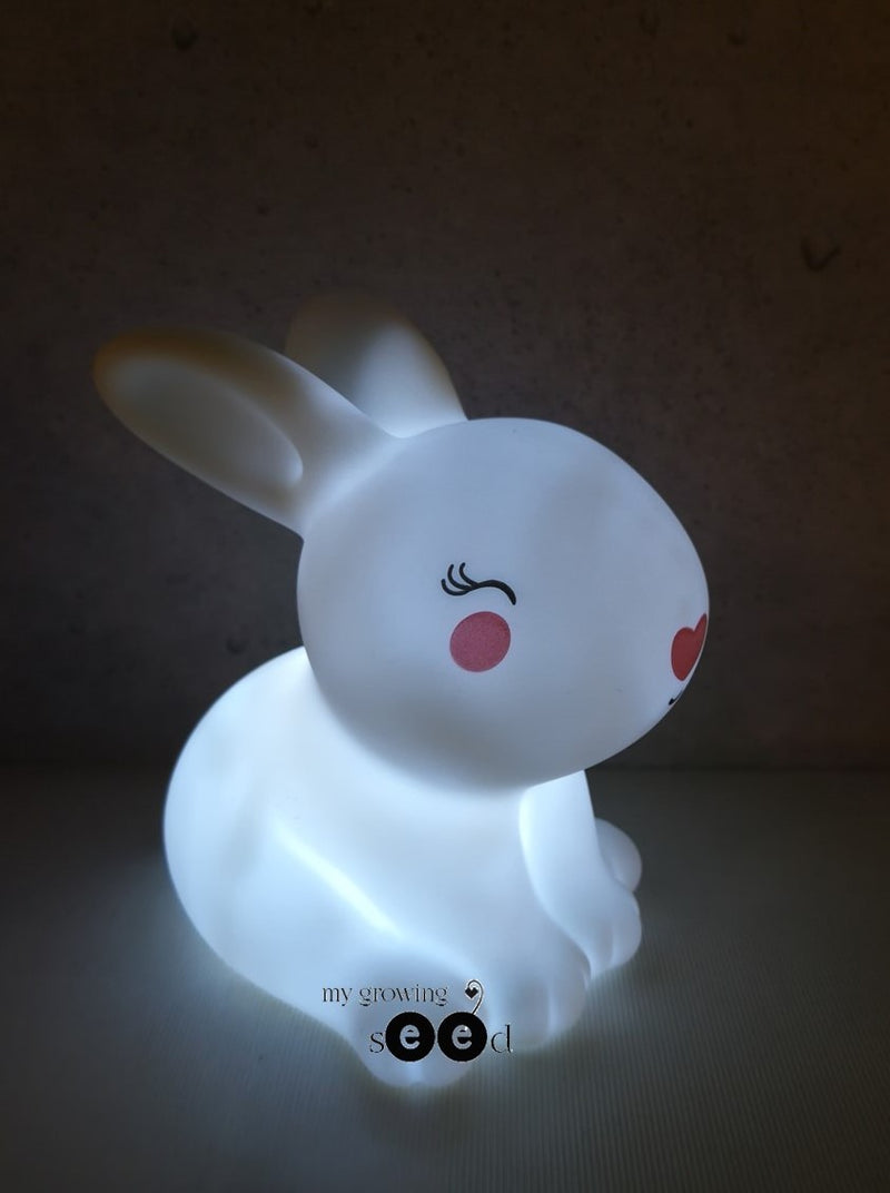 READY STOCK : ADORABLE NURSERY LED LIGHTING (5 Options)
